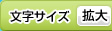 文字サイズを拡大する
