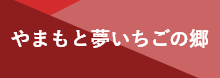 やまもと夢いちごの郷ホームページ