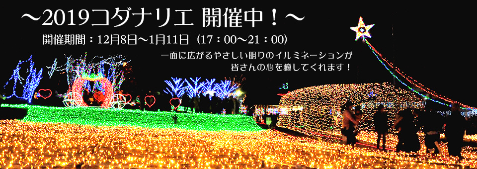2019コダナリエ開催中