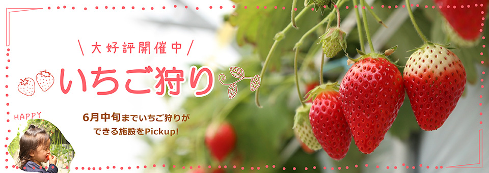 山元町いちご狩り
