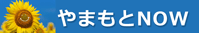 やまもとＮＯＷ