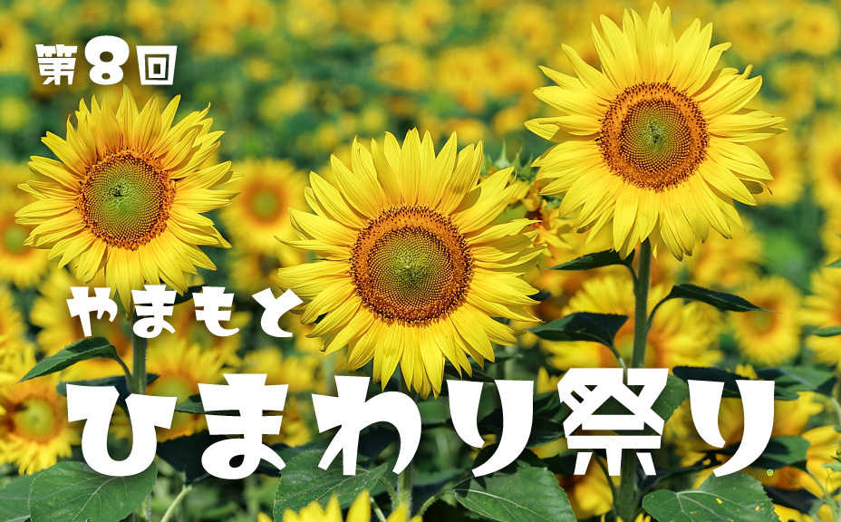 ひまわり祭り