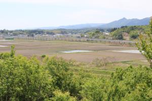 田園風景