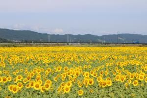 地面から