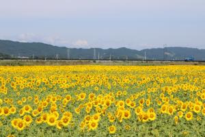 地面から