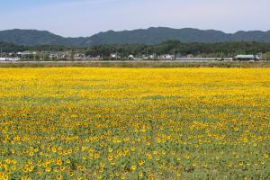 高見台から