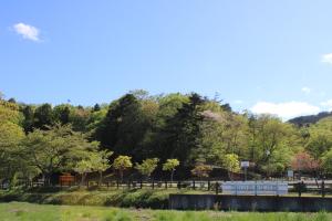 青空を泳ぐ鯉のぼり5