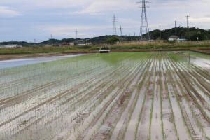 田植えの時期到来①