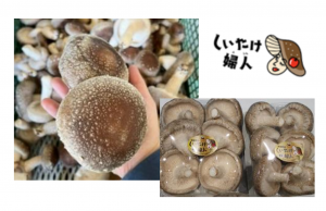 0058　しいたけ婦人