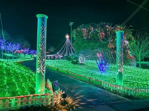 コダナリエ風景①