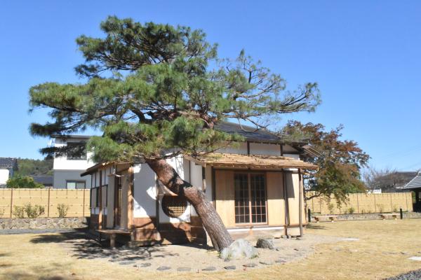 修復が完了した茶室