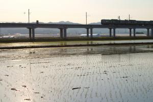 田園風景①