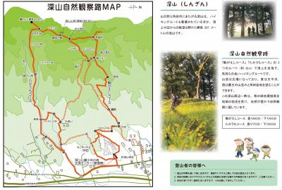 自然散策路パンフレット