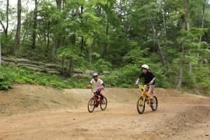 BMX