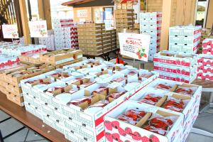 夢いちごの郷いちご