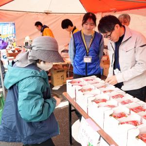 いちご販売状況