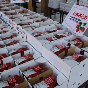 いちごフェア①