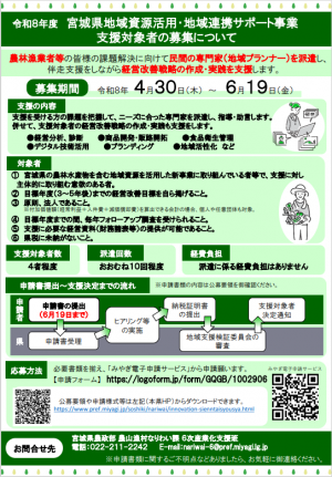 チラシ