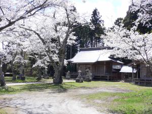 坂元神社春祭り写真１