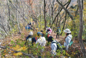 深山ハイキングの様子