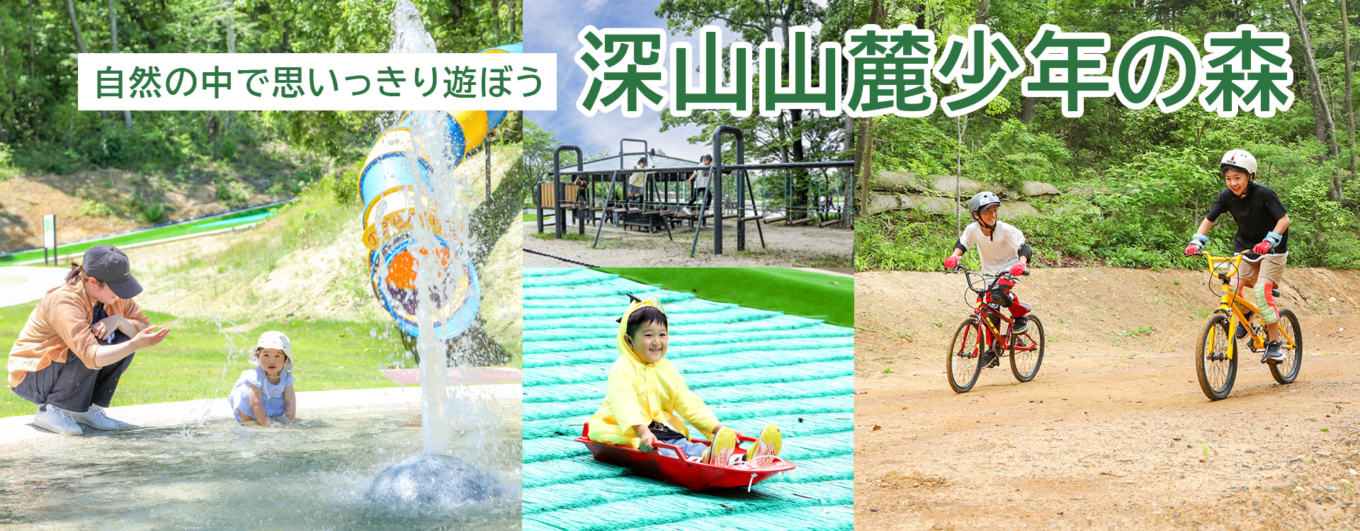 メインスライド 少年の森